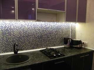 Апартаменты Kharkiv Center Apartment on Gogolya Str Харьков Апартаменты с 1 спальней-29