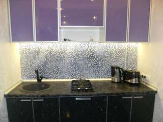 Апартаменты Kharkiv Center Apartment on Gogolya Str Харьков Апартаменты с 1 спальней-31