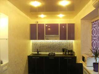 Апартаменты Kharkiv Center Apartment on Gogolya Str Харьков Апартаменты с 1 спальней-66